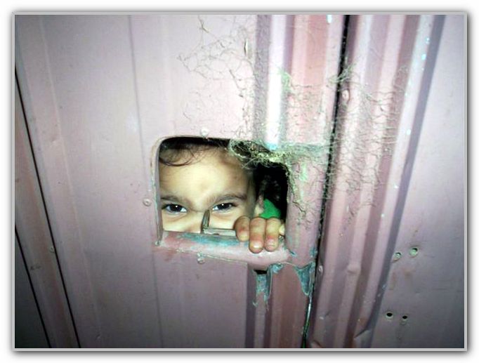 Ebony skulking around MJ House 2006